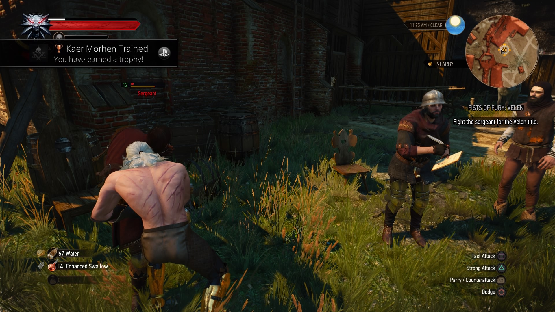 The Witcher 3: Wild Hunt
Kaer Morhen Trained(Bronze)