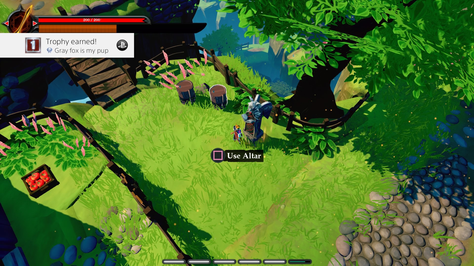 Stories: The Path of Destinies
Gray fox is my pup (Platinum)